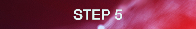 Step 5